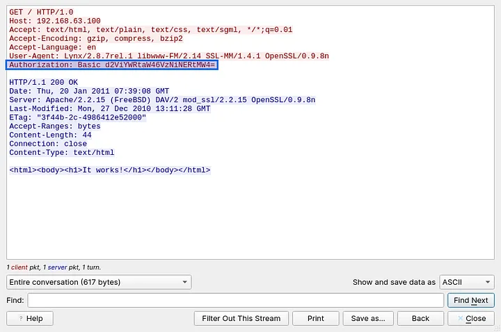 Follow HTTP Stream view highlighting the Authorization header with Base64-encoded credentials